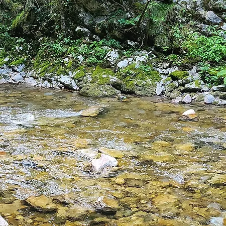 Stojanovic Apartament Zlatibor