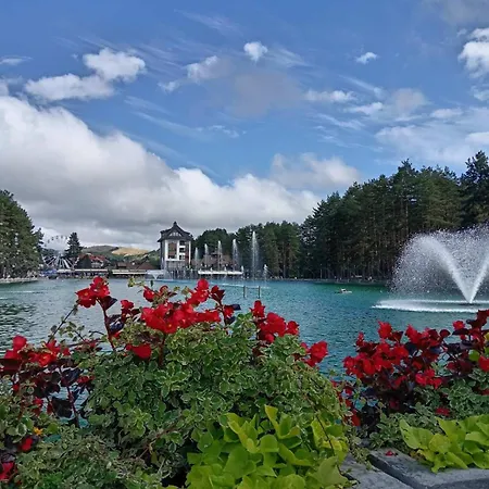 Apartament Stojanovic