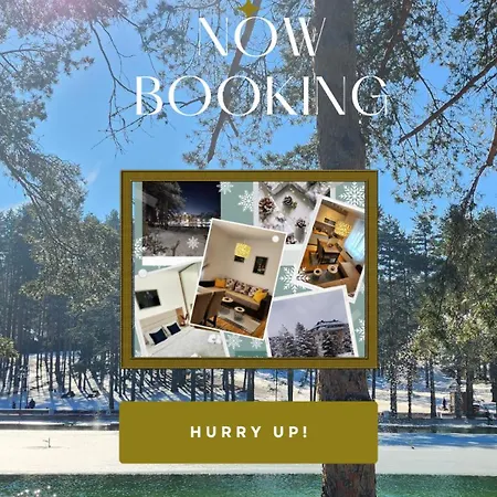 Stojanovic Apartament