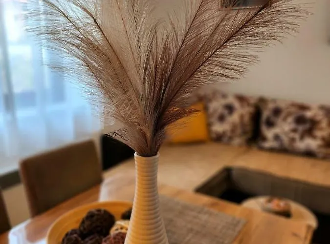 Stojanovic 兹拉蒂博尔